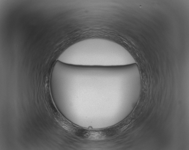 X0000084550507200702230938