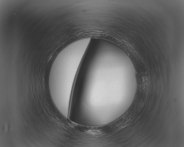 X0000084550508200702230938