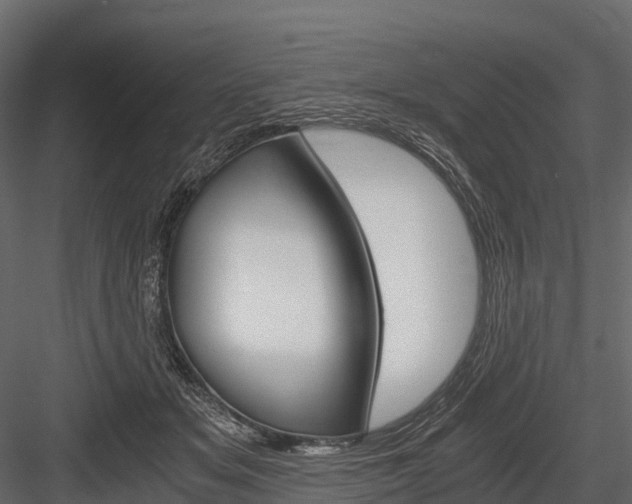 X0000084550509200702230938
