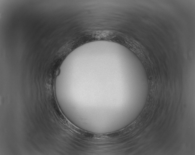 X0000084550510200702230938