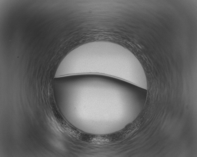X0000084550515200702230938