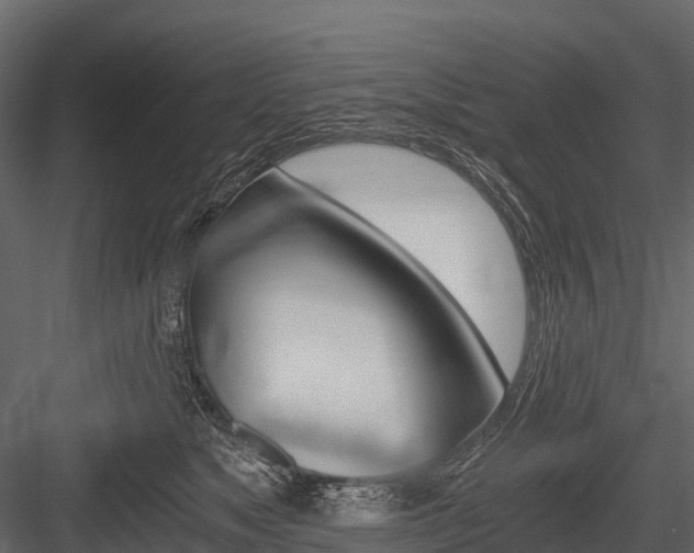 X0000084550517200702230938