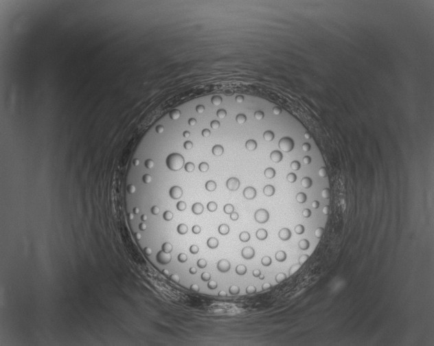 X0000084550519200702230938