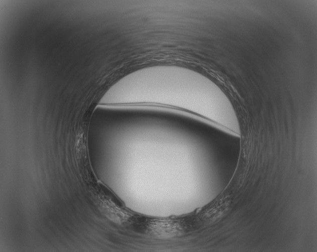 X0000084550521200702230938