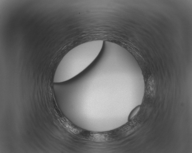 X0000084550522200702230938