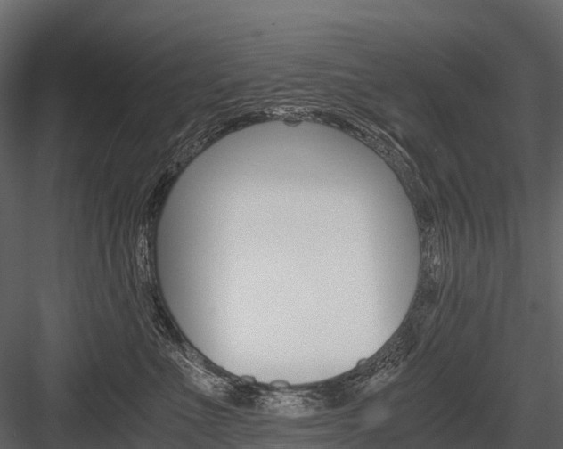 X0000084550523200702230938