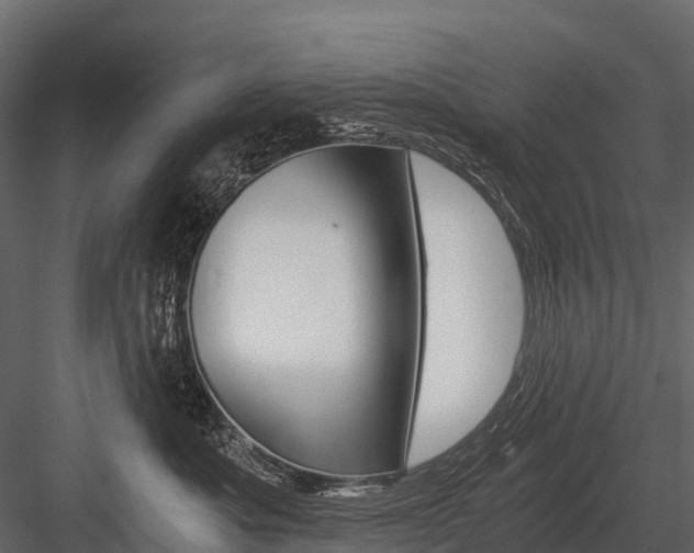 X0000084550525200702230938