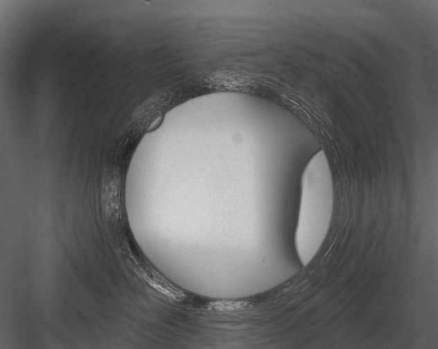 X0000084550526200702230938