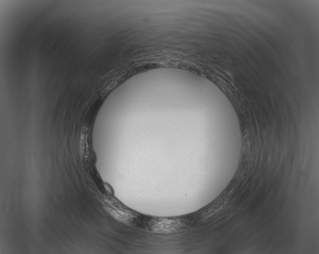 X0000084550527200702230938