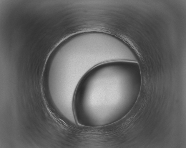 X0000084550532200702230937