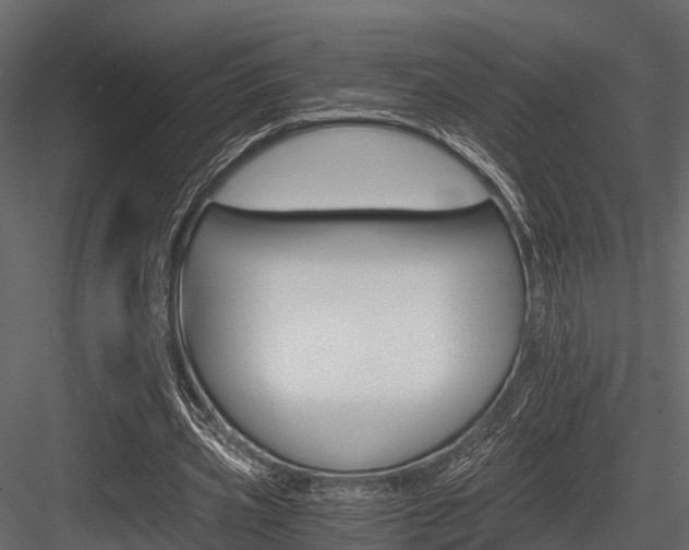 X0000084550533200702230937