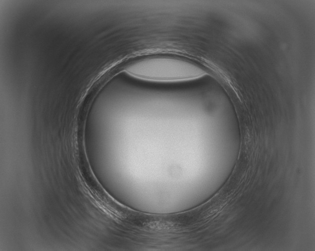 X0000084550535200702230937