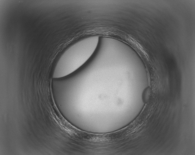 X0000084550537200702230937