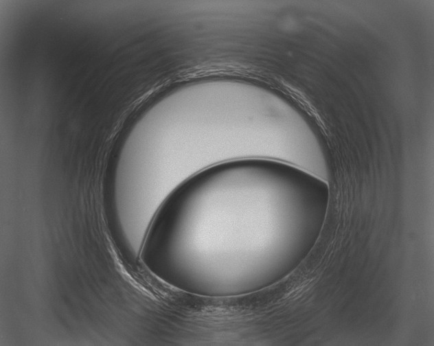 X0000084550538200702230937