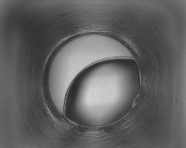 X0000084550540200702230937