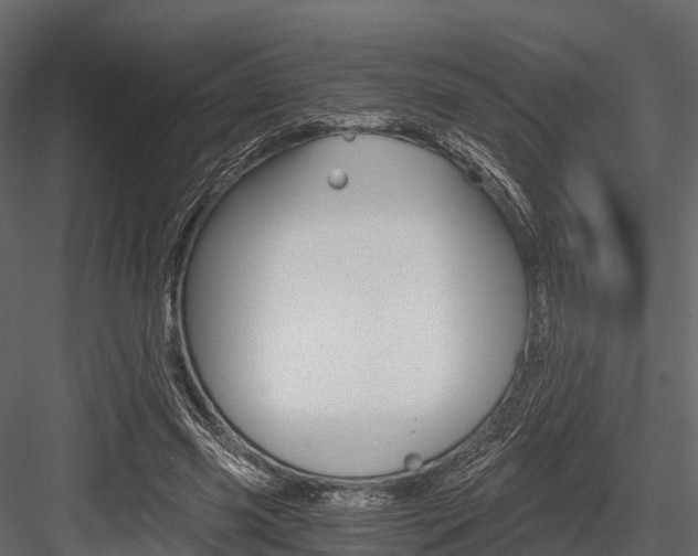 X0000084550541200702230937