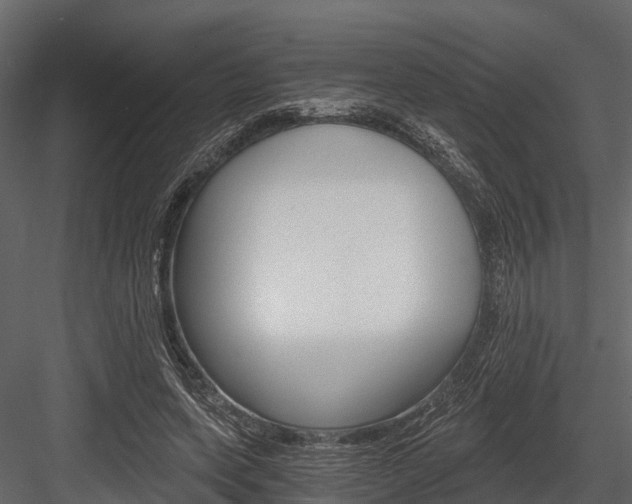X0000084550543200702230938