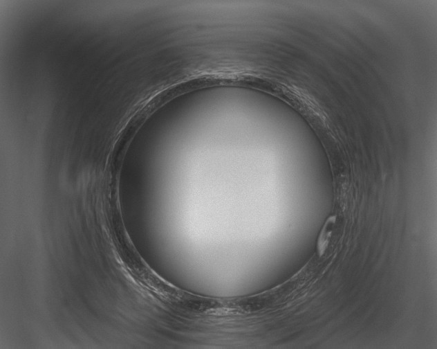 X0000084550544200702230938