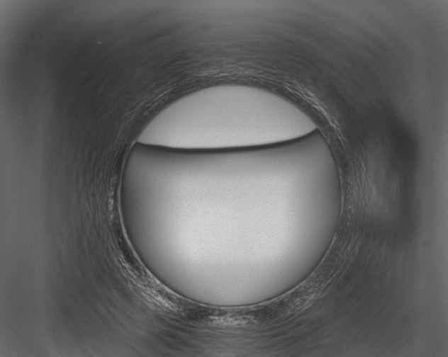 X0000084550545200702230938