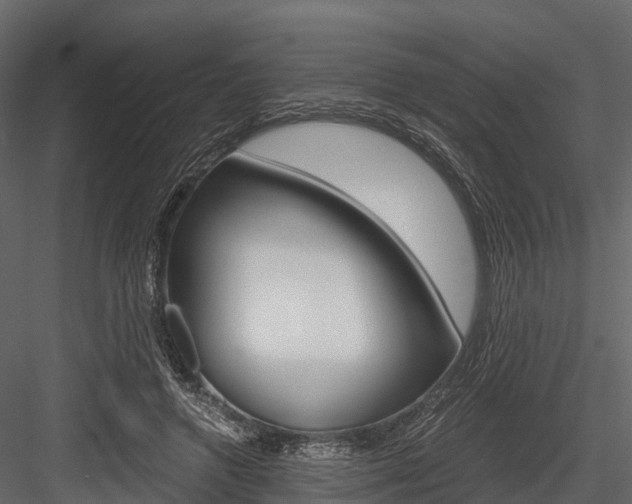 X0000084550546200702230938
