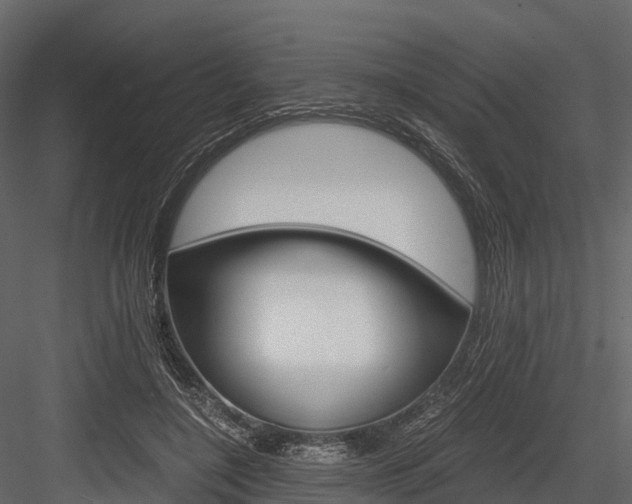 X0000084550548200702230938