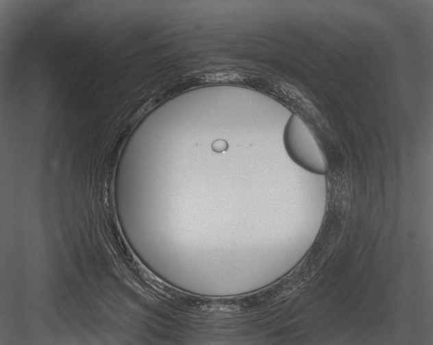 X0000084550549200702230938