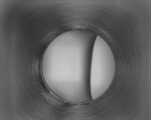 X0000084550550200702230938