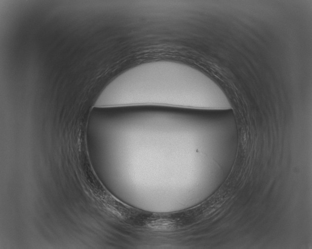 X0000084550551200702230938