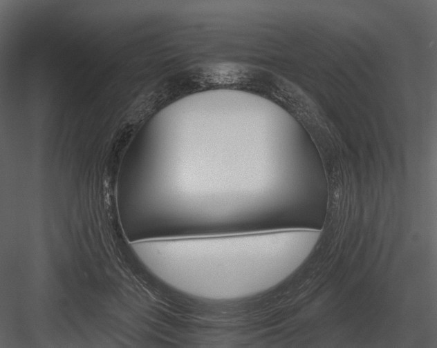 X0000084550555200702230938