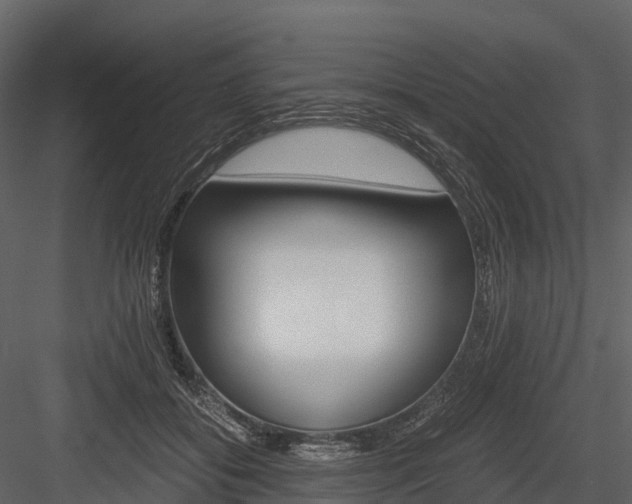 X0000084550556200702230938