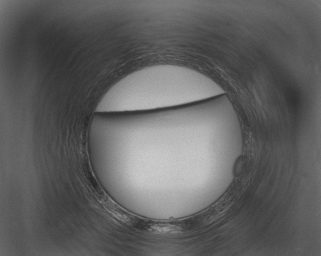 X0000084550557200702230938