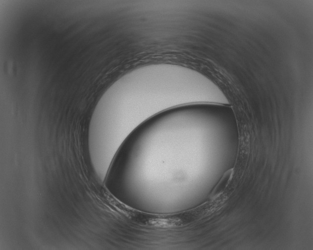X0000084550558200702230938