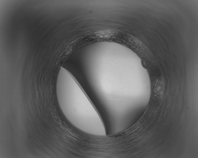 X0000084550559200702230938