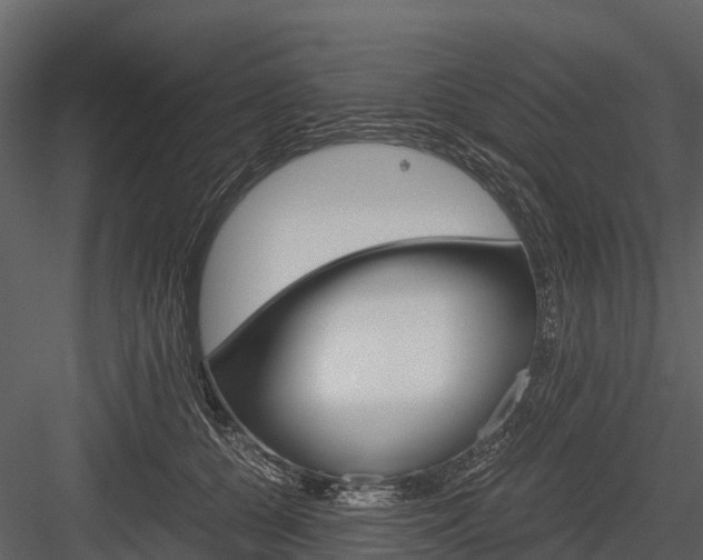 X0000084550560200702230938