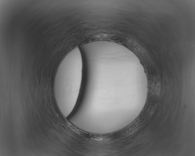 X0000084550561200702230938