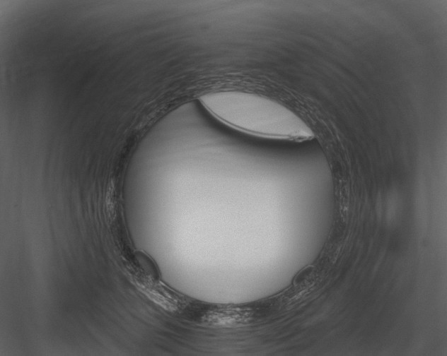 X0000084550563200702230938