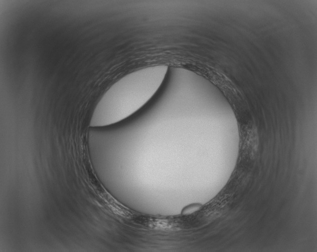 X0000084550565200702230938