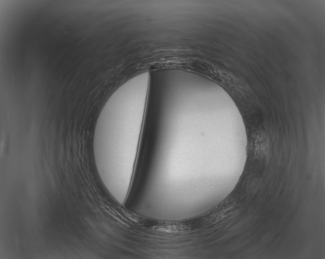 X0000084550567200702230938