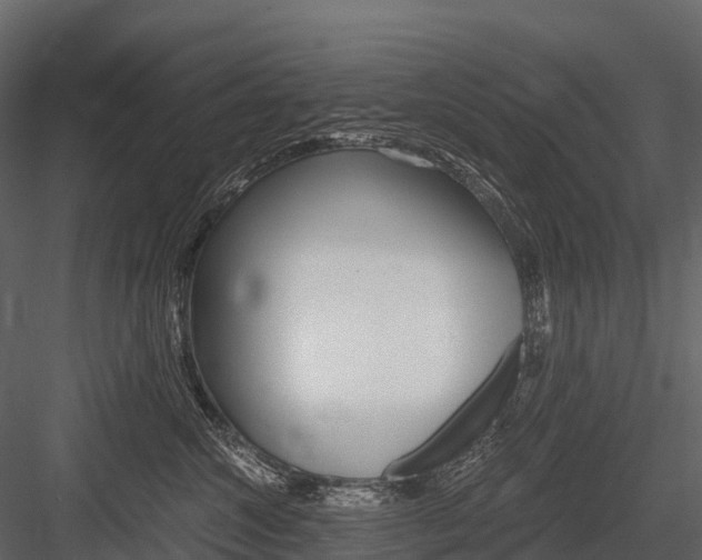 X0000084550572200702230938