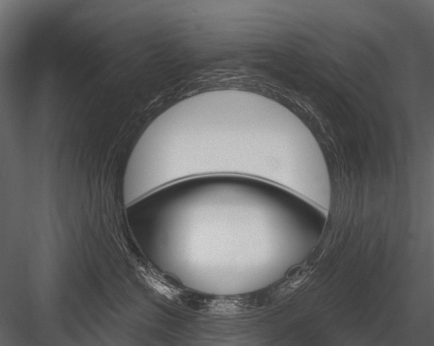 X0000084550574200702230938