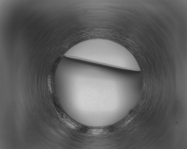X0000084550575200702230938