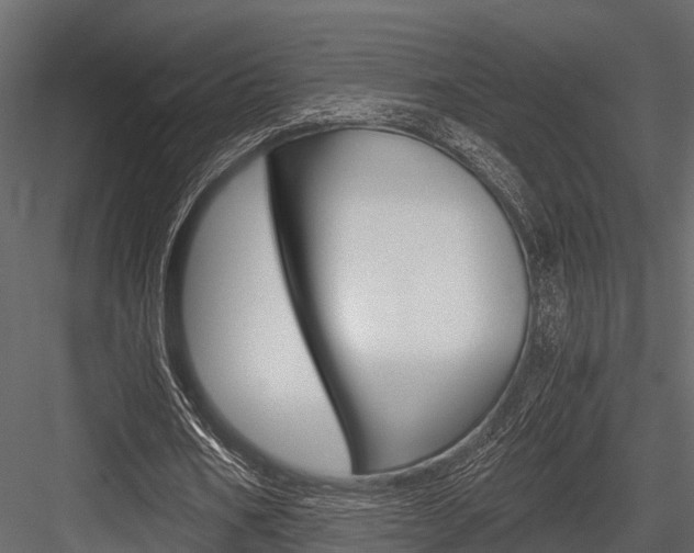 X0000084550578200702230937