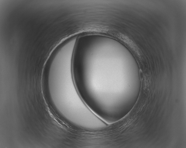 X0000084550580200702230937