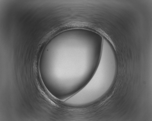 X0000084550581200702230937