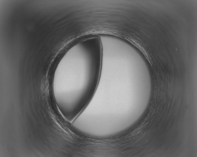 X0000084550584200702230937