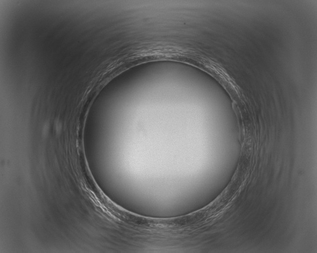 X0000084550585200702230937