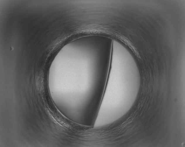 X0000084550588200702230937