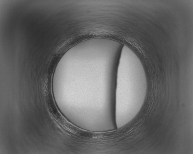 X0000084550591200702230937