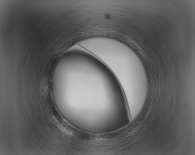 X0000084550593200702230937
