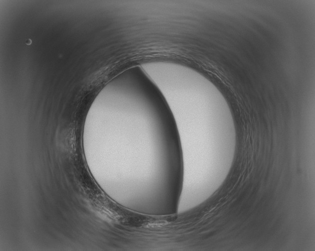 X0000084550595200702230937